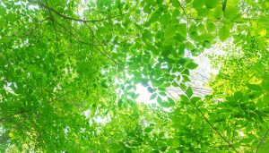 名古屋市中川区心理カウンセリング浦