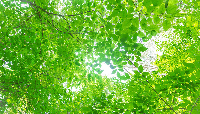 現代の神話について