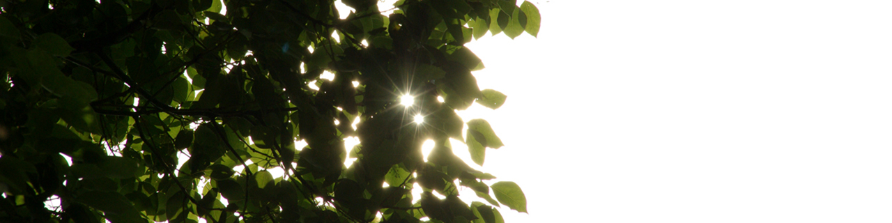 不安障害について