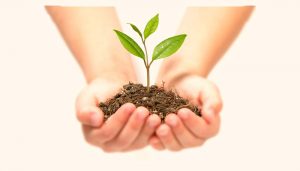 名古屋市中川区心理カウンセリング浦